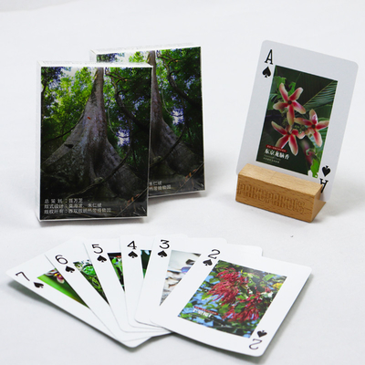 comprare Cartoline da gioco pubblicitarie verdi stampate su misura con scatola di stampa di alta qualità Germania Cartolina da gioco di carta a nucleo nero online manufacture